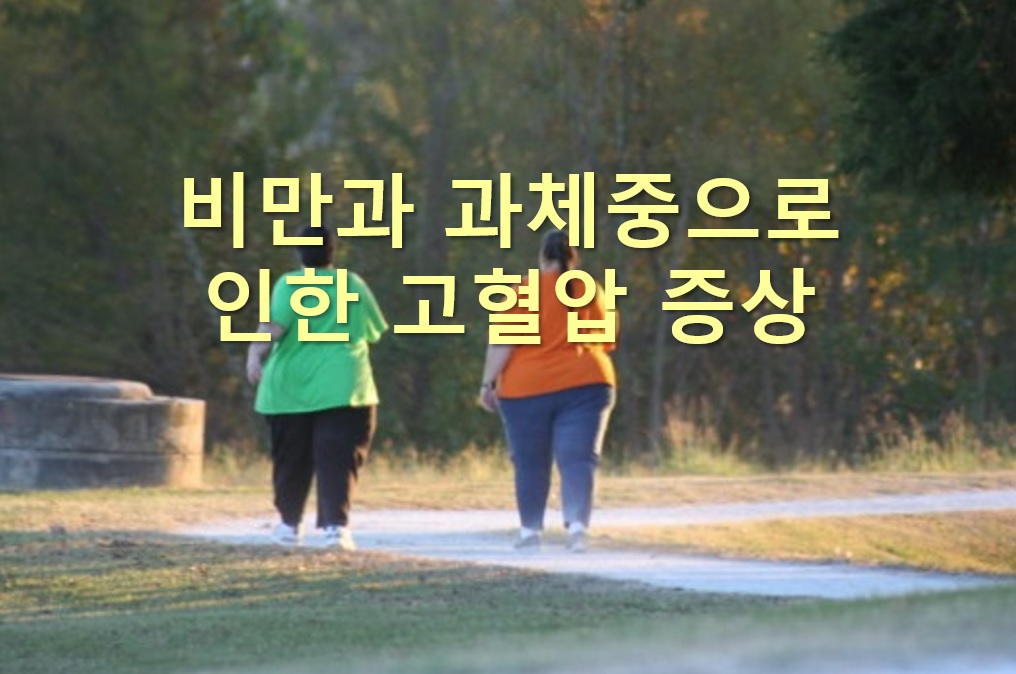 비만증이 있는 여성들