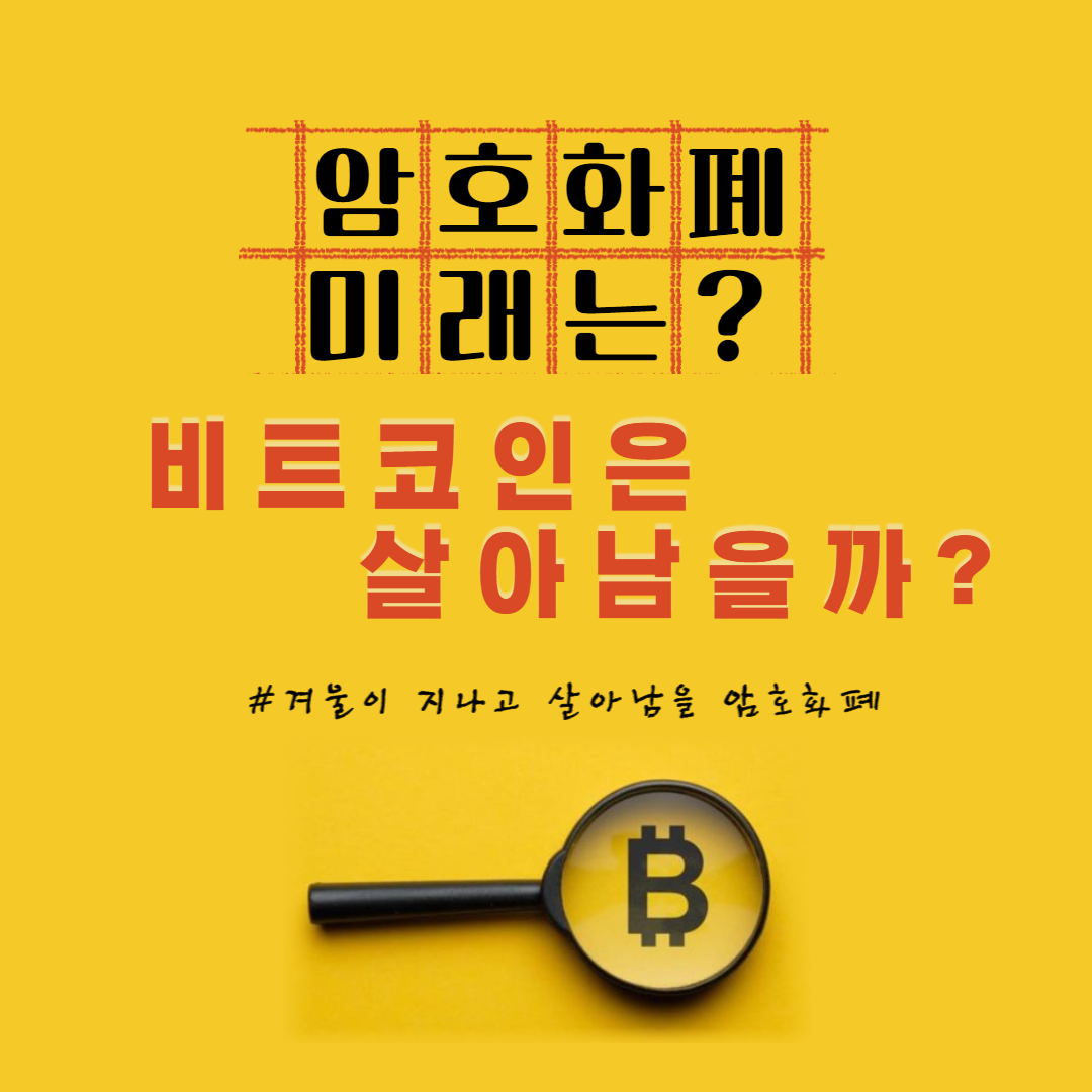  암호화폐의 미래, "비트코인은 살아남을까?”