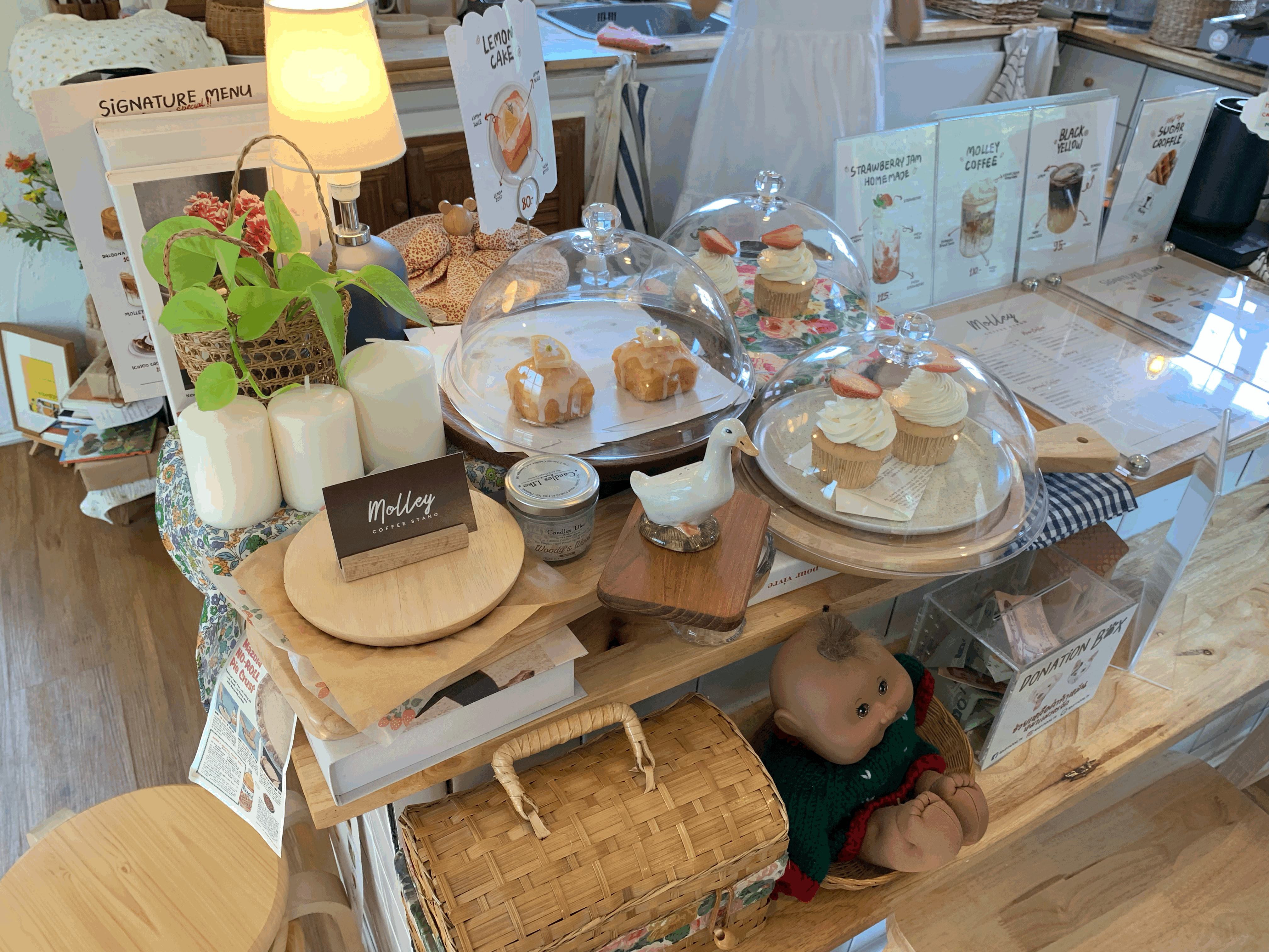Molley Coffee Stand