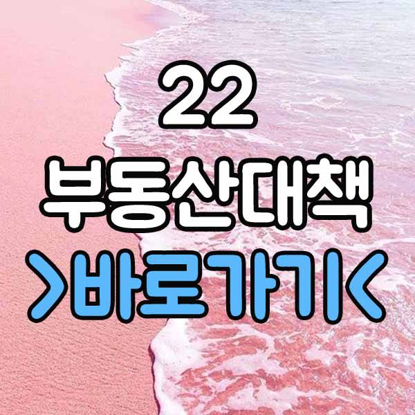  22부동산대책