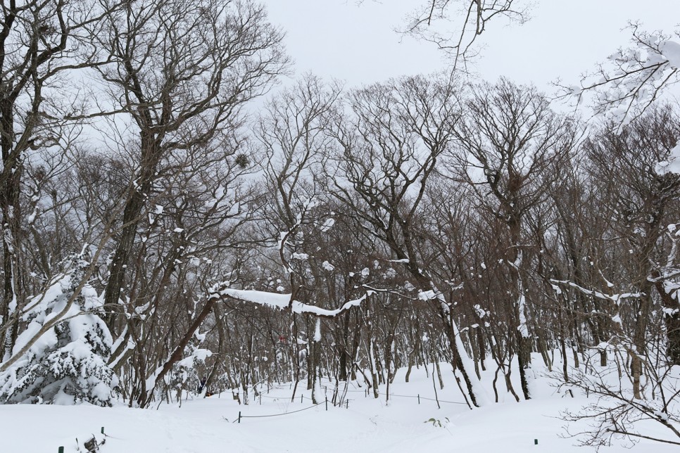 눈쌓인 겨울산 이미지 45