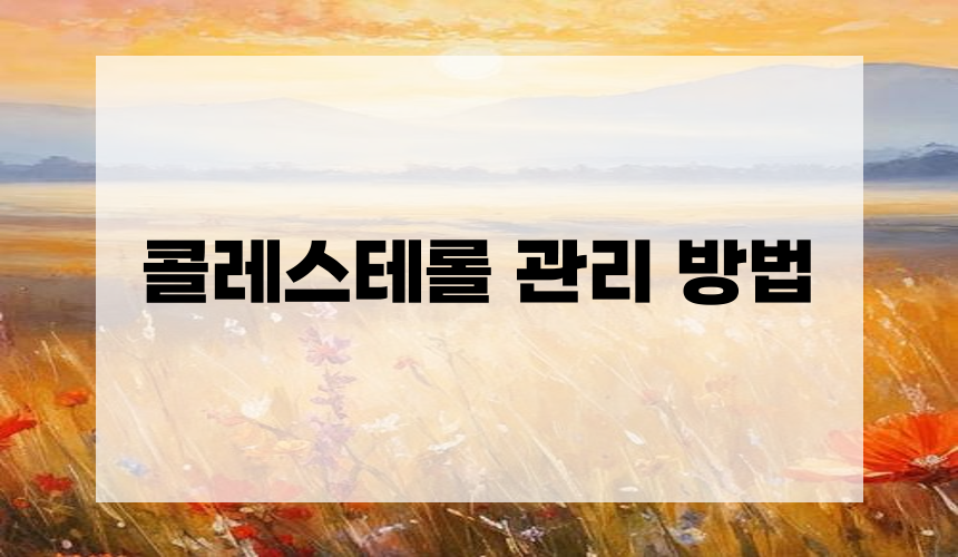 콜레스테롤 관리 방법