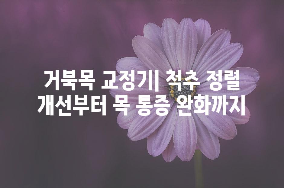 샘플 (50)