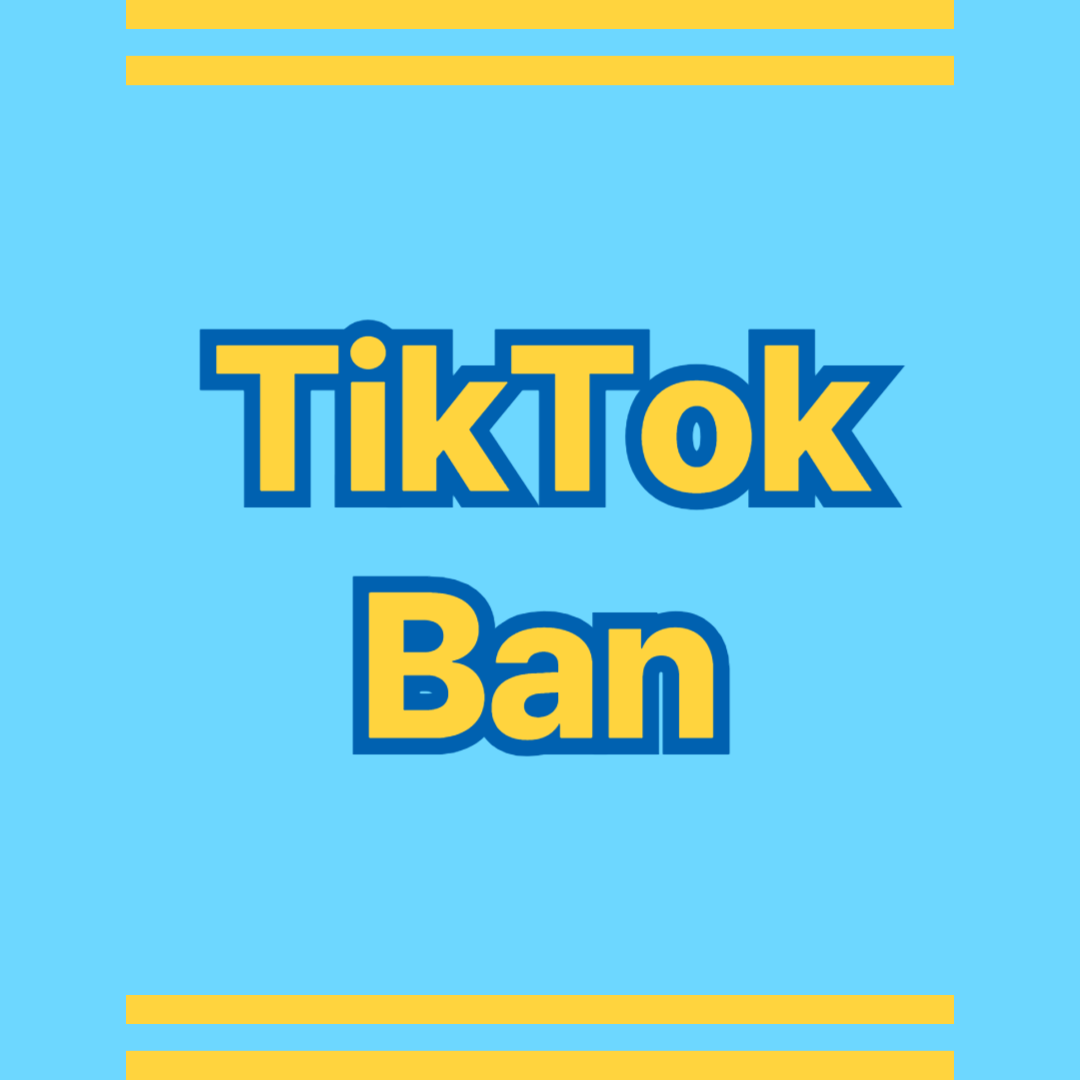 틱톡금지