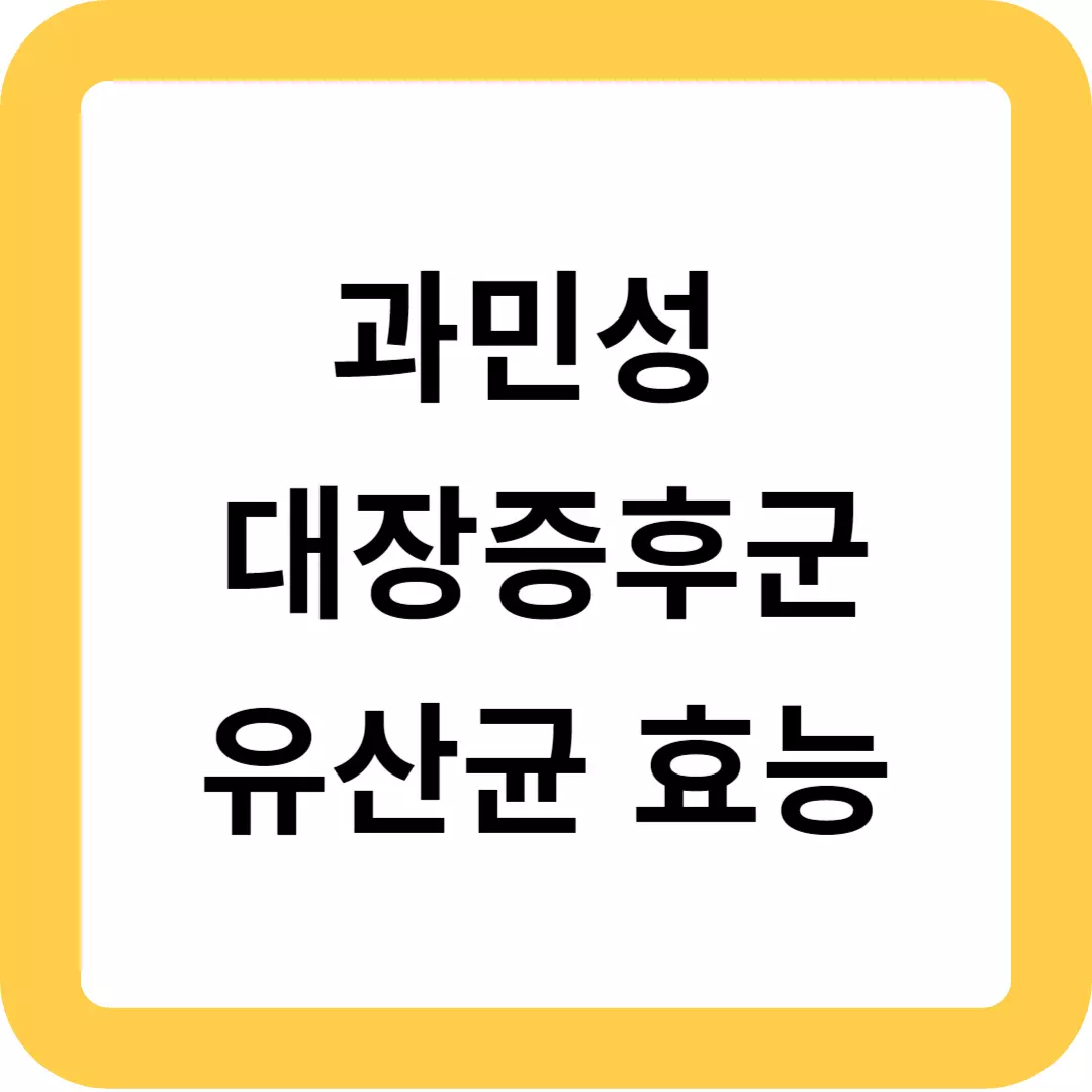 과민성-대장증후군-유산균-종류와-효능-추천-사진