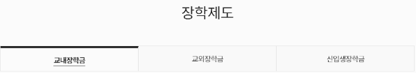 순천향대 장학금: 유형 · 종류