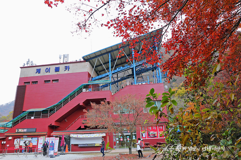 11/5 장산 단풍 절정의 정읍 내장사 17