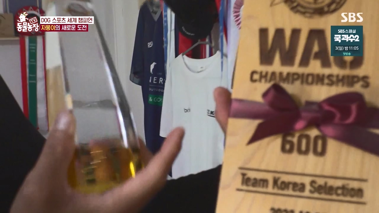 TV 동물농장.E1135.230828p-NEXT.mp4_20230827_180806.728.jpg