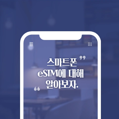  해외 여행의 필수품이 되어버린 eSIM을 알아보자.
