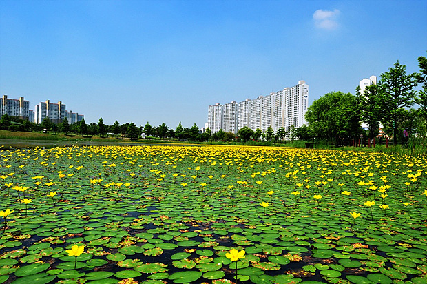 경기 안산 호수공원