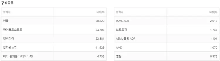 KEDI미국테크1조달러기업포커스 구성종목