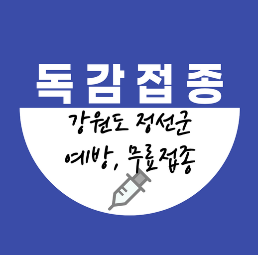 정선군독감무료접종