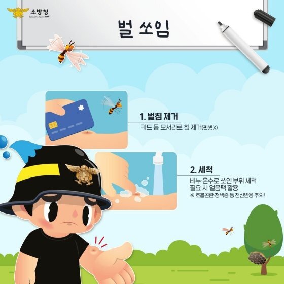 벌에-쏘였을-때