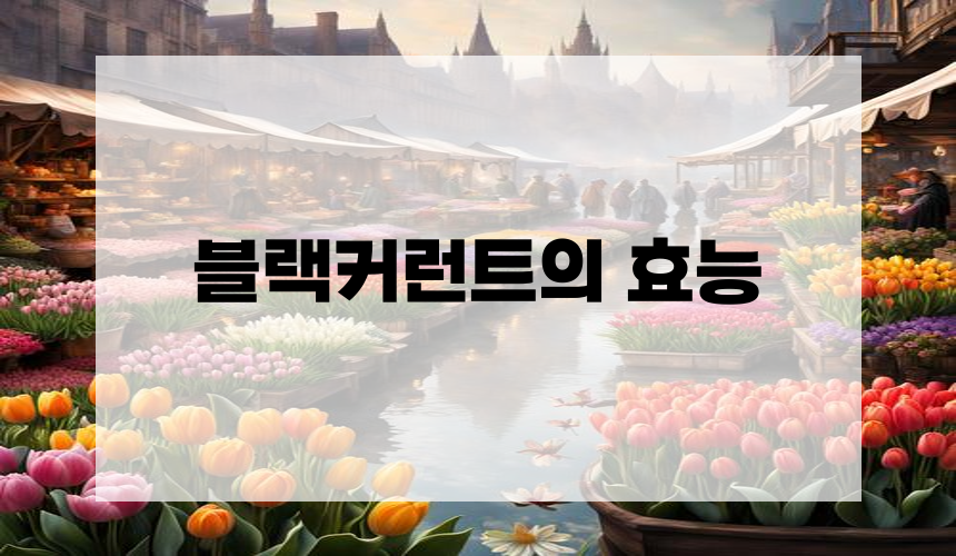 블랙커런트의 효능