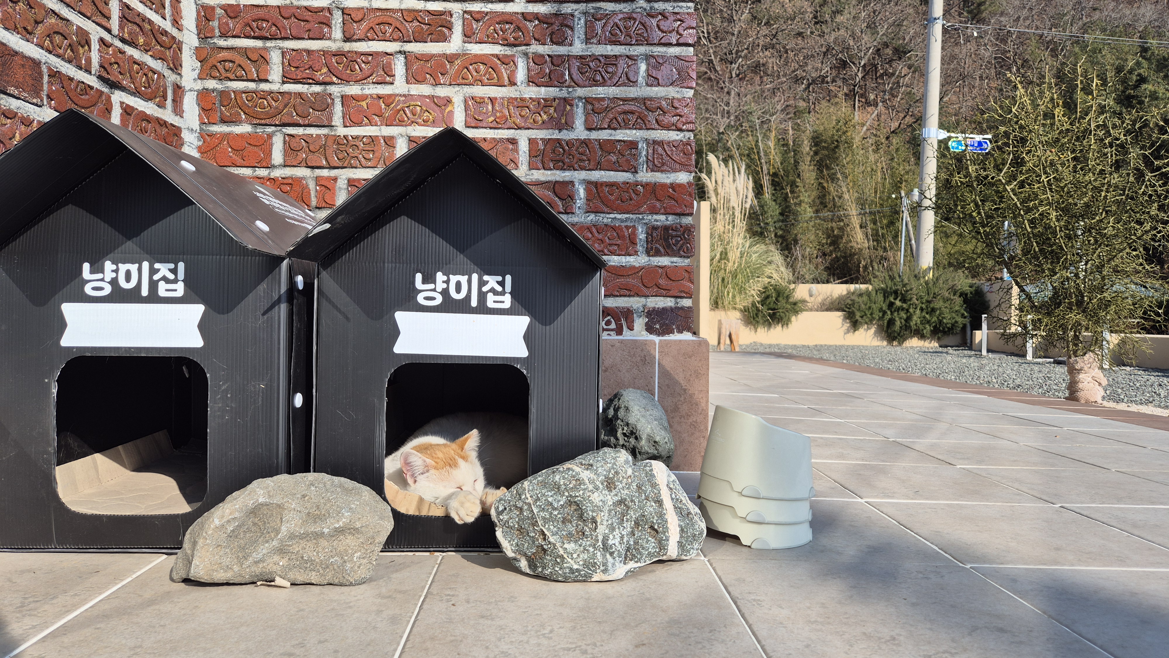 자란들 이미지