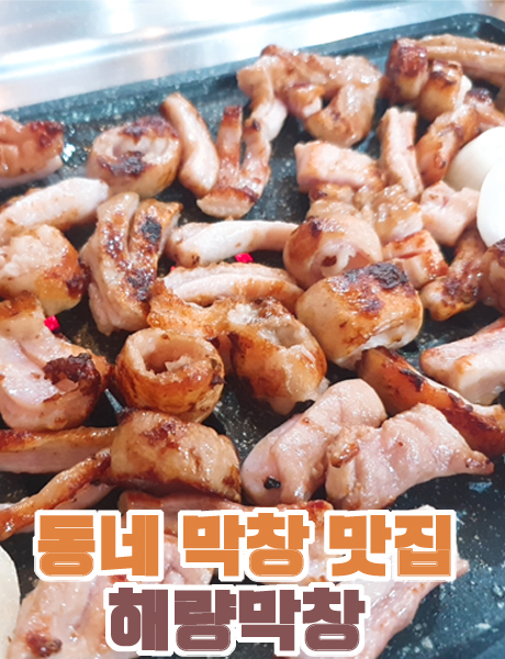  동네 막창 맛집 창원 가음정시장 해량막창