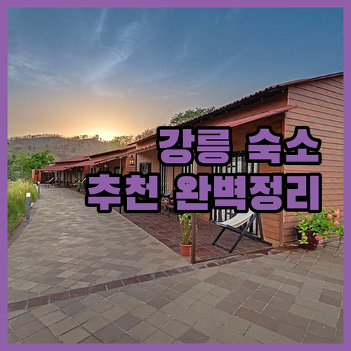 강릉 호텔 추천 해변, 관광, 펫 동