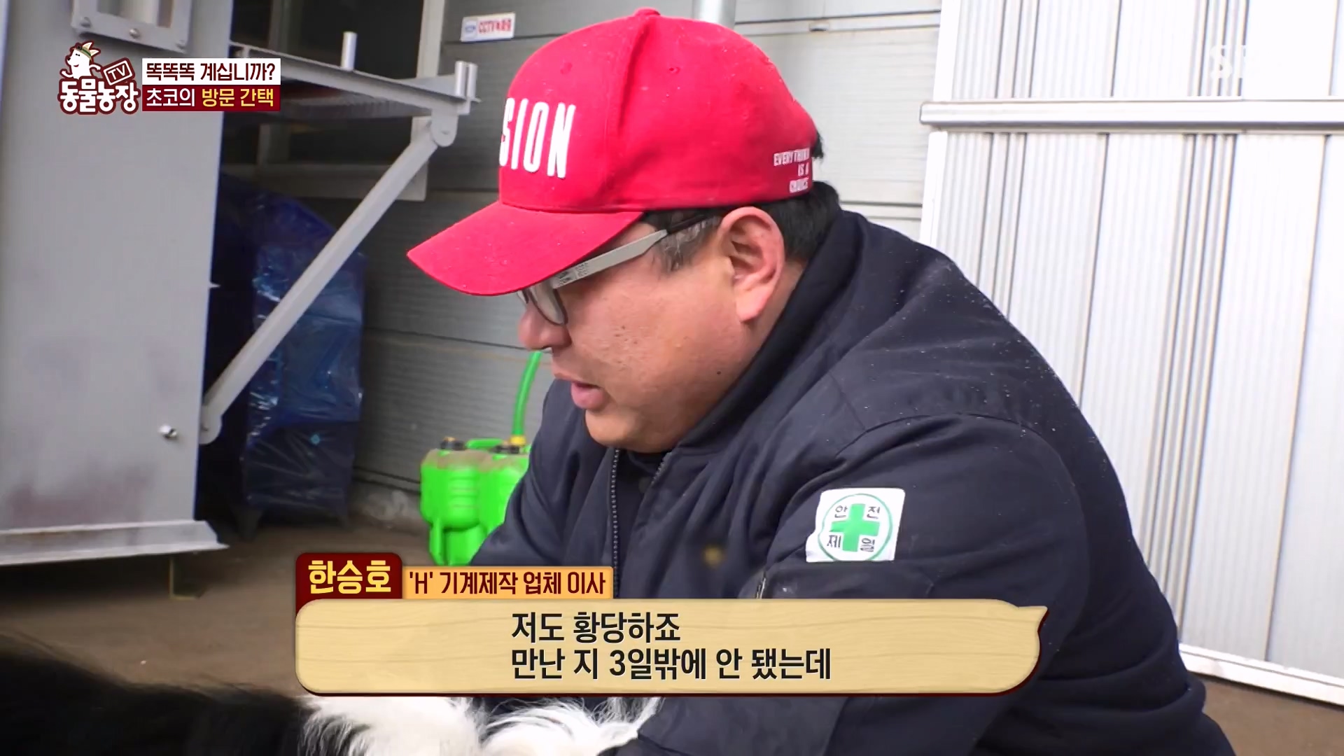 TV 동물농장.E1161.240303p-NEXT.mp4_20240303_172254.308.jpg