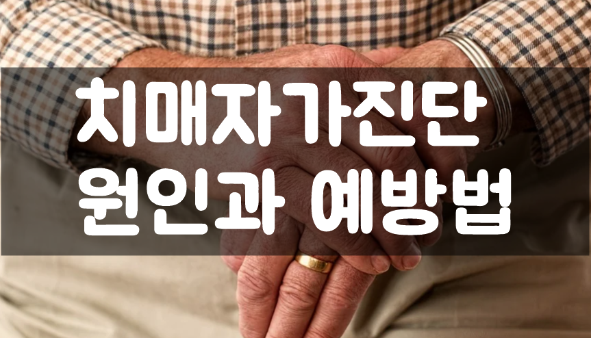  치매자가진단 치매원인과 치료예방법