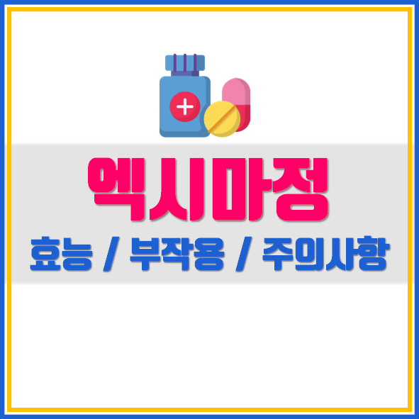  액시마정 의약품 정보