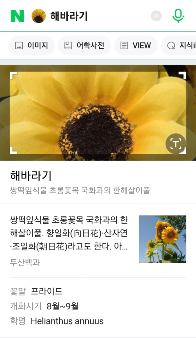 네이버앱-검색-결과