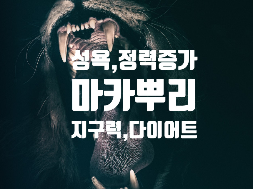  마카뿌리 효능 : 성욕, 정력, 불임, 지구력, 다이어트, 폐경, 부신