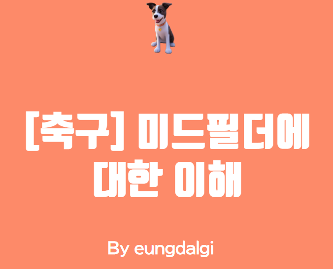  축구, 미드필더에 대한 이해