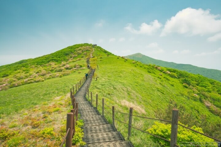 소백산 이미지