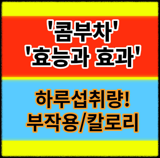 콤부차 효능과 효과