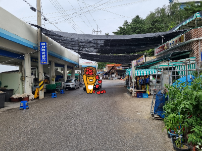 장호항 풍경