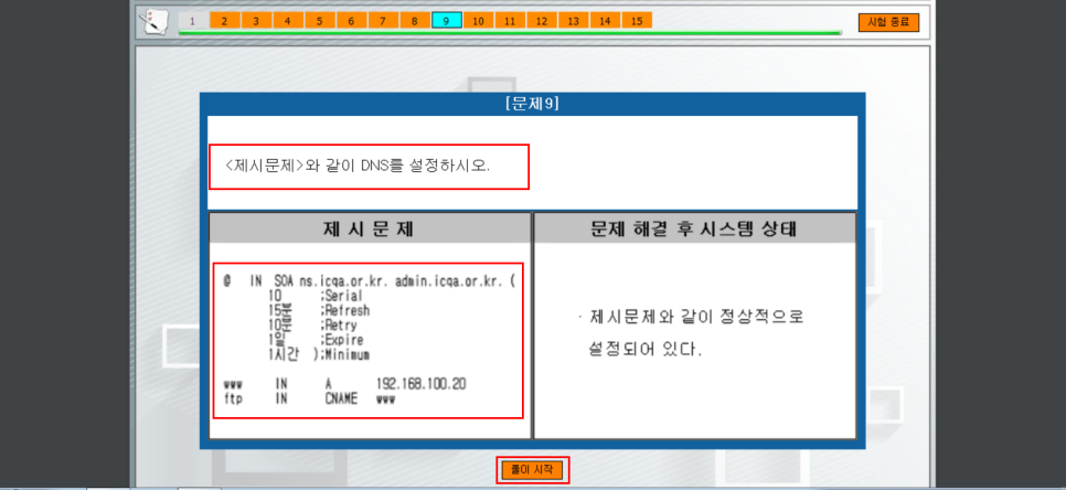 DNS 설정 문제