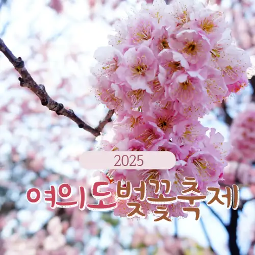 2025 여의도 벚꽃축제