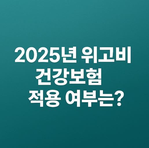 위고비 건강보험 관련 사진