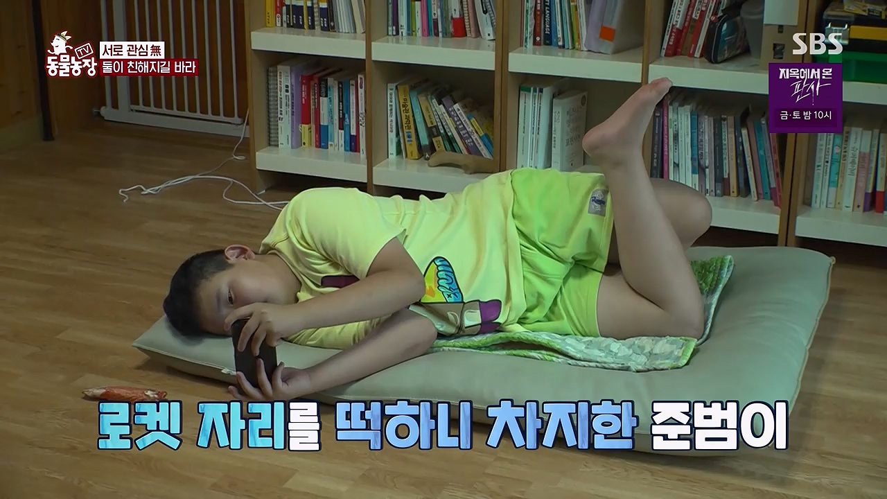 TV 동물농장 1189화 다시보기.ts_20240922_161952.953.jpg