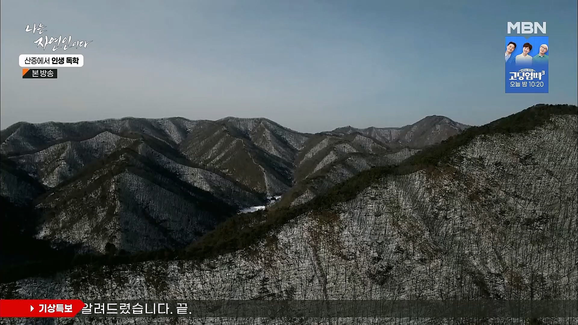 나는 자연인이다.E539.230201p.H264-F1RST.mp4_20230204_181735.541.jpg