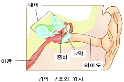 한쪽 귀의 증상 및 통증 치료 4