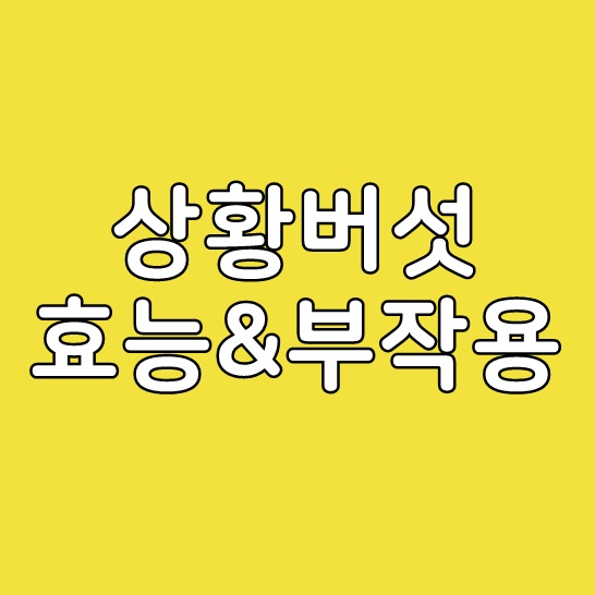  상황버섯 효능 부작용