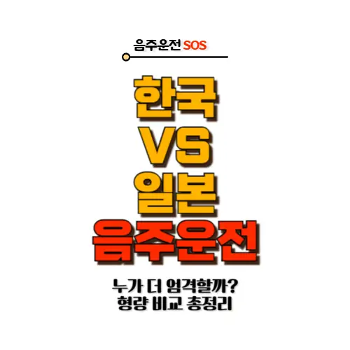 한국 vs 일본 음주운전