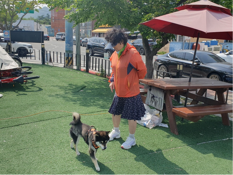 [김종우 칼럼] 반려동물산업에세이_86 반려동물 교육을 위한 시민학교 지자체 조례 필요