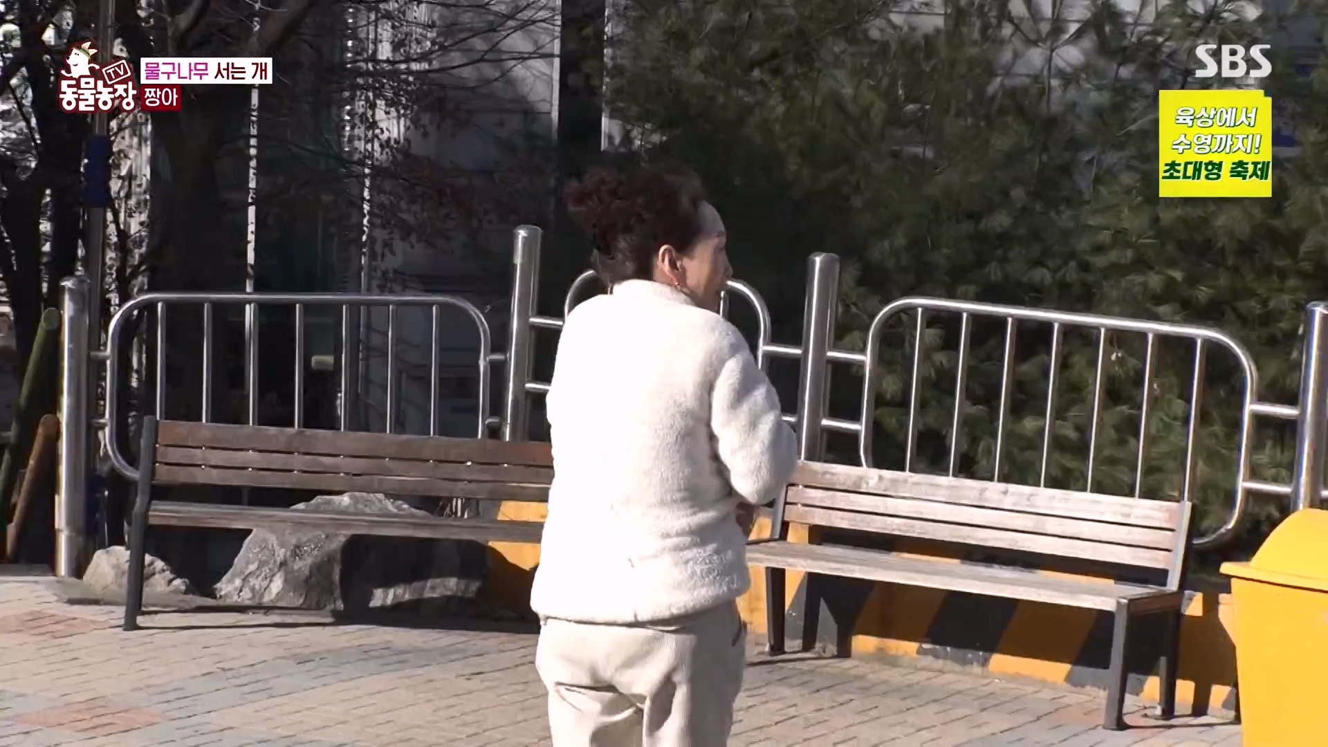 TV 동물농장.E1157.240204p-NEXT.mp4_20240204_172410.562.jpg