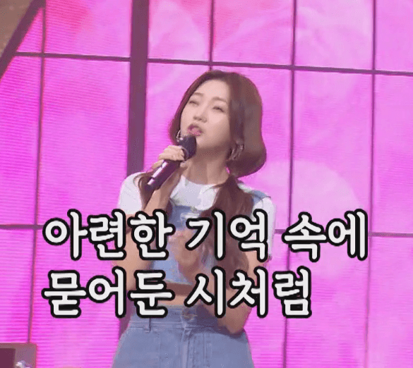 홍지윤(주현미) 야래향
