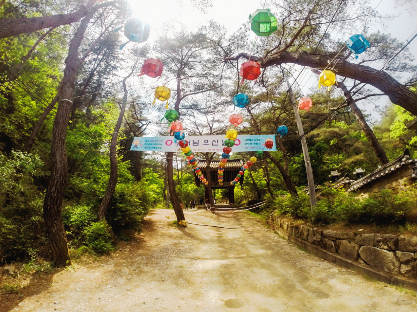 한국 명산 경기 가평 운악산 등산 mountain hiking