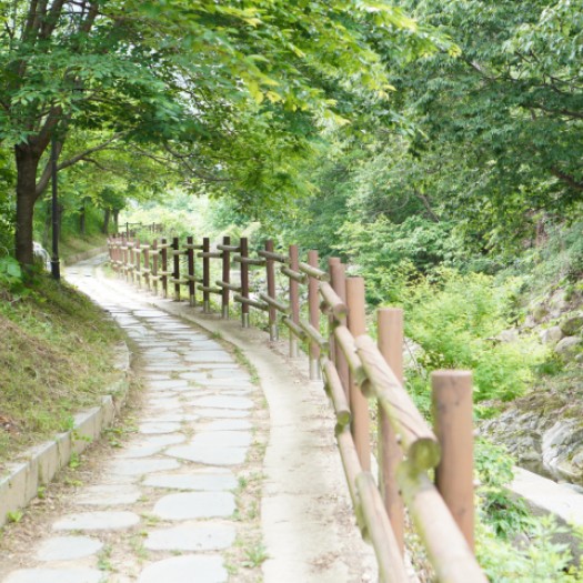 유아의 오감을 깨우는 자연산책놀이