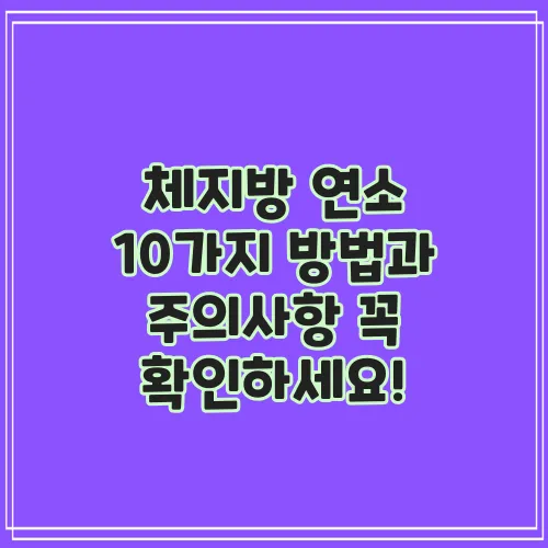 체지방 연소 10가지 방법과 주의사항 꼭 확인하세요!