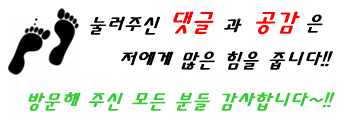 escalation 비이성적 상승효과 2