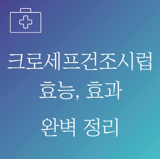 크로세프건조시럽