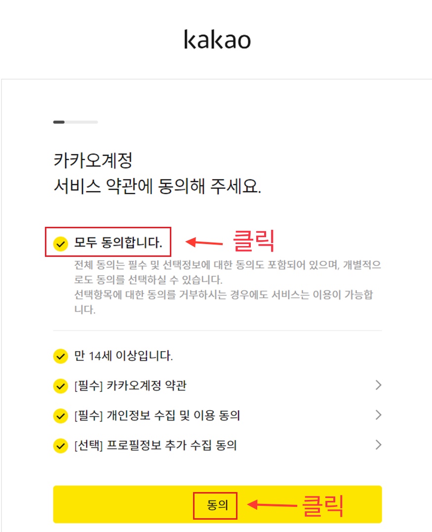 카카오계정 서비스 약관에 동의해 주세요