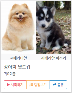  이상형 월드컵 바로가기 - 나만의 이상형 월드컵을 만들어보자