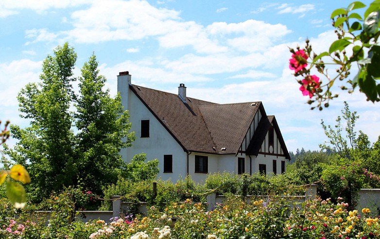 house with flowerly garden