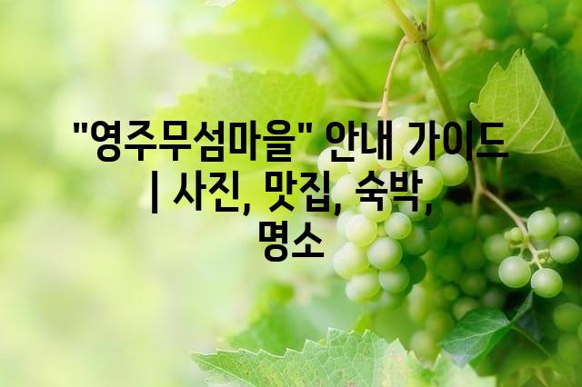 랜덤101